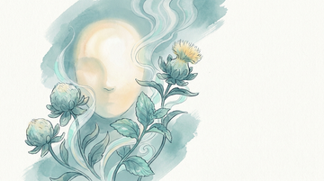 Conceptual botanical illustration of safflower flowers and peppermint with a soft teal mist — sinus congestion relief