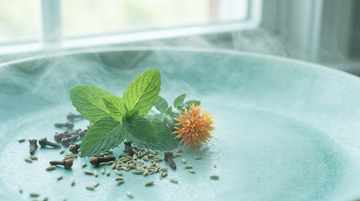 Fennel seeds, cloves and a peppermint sprig with soft teal mist — ErasaVir conceptual botanical hero for a bad-breath remedies article